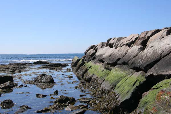 Rhode Island Rocks and Sea